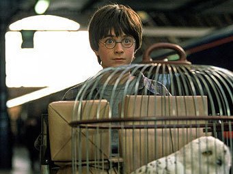 Slide image for gallery: 1204 | Кадр из фильма "Гарри Поттер и философский камень". 2001 г.