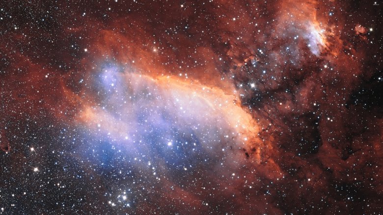 Content image for: 514215