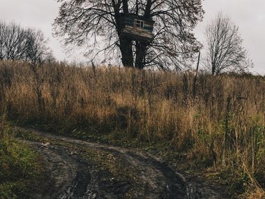 Костромская область Костромская область
