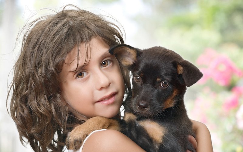 Аллергия на собаку у ребенка: причины и симптомы - статья для родителей