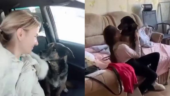 Спасший хозяйку от огня пес вернулся домой спустя 2 недели