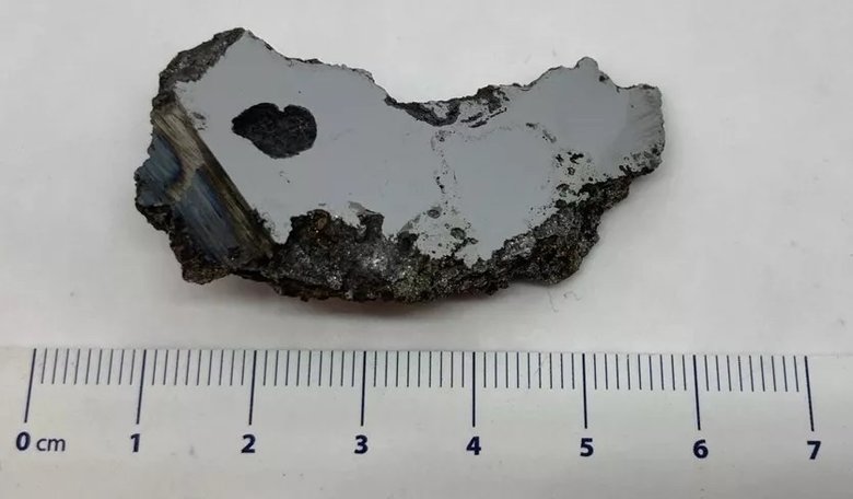 Именно в этом фрагменте метеорита скрывались два неизвестных науке минерала. Фото: University of Alberta Meteorite Collection