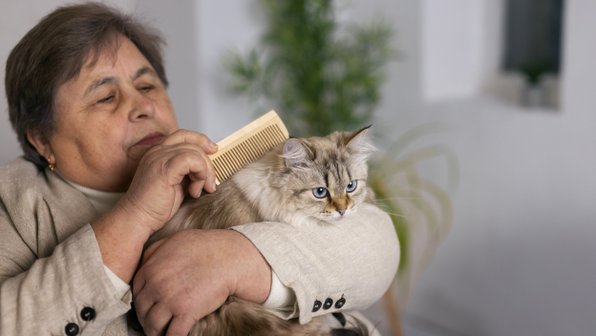 Как ухаживать за пожилой кошкой: подробное руководство