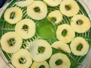 Slide image for gallery: 2274 | Перед тем, как сушить яблоки, их нужно поместить в воду с добавлением небольшого количества лимонного сока