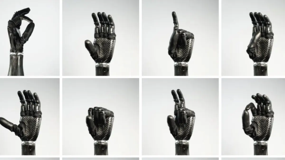 Варианты движений бионической руки Ability Hand с 32 типами захвата и сенсорами осязания Варианты движений бионической руки Ability Hand с 32 типами захвата и сенсорами осязания