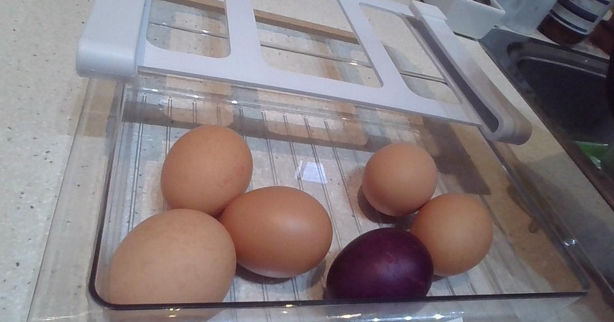 Американцев захватила загадка фиолетового яйца