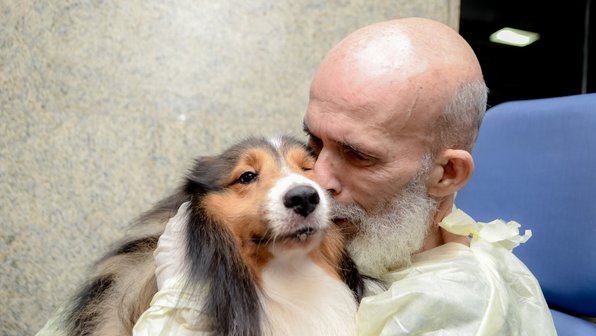 Собака приехала к больному раком хозяину, и ему стало лучше