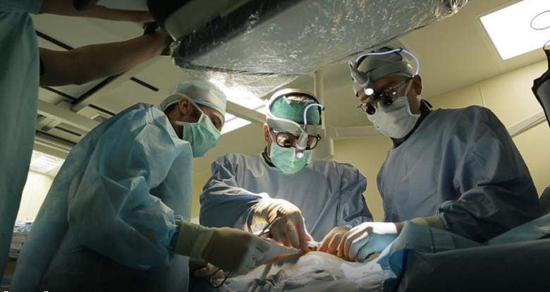Созданный российскими учеными протез митрального клапана успешно имплантирован в сердце. Фото: Российский научный фонд