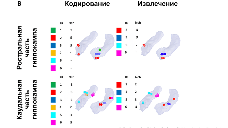 Графика Графика