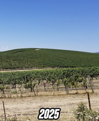 Windows XP Windows XP