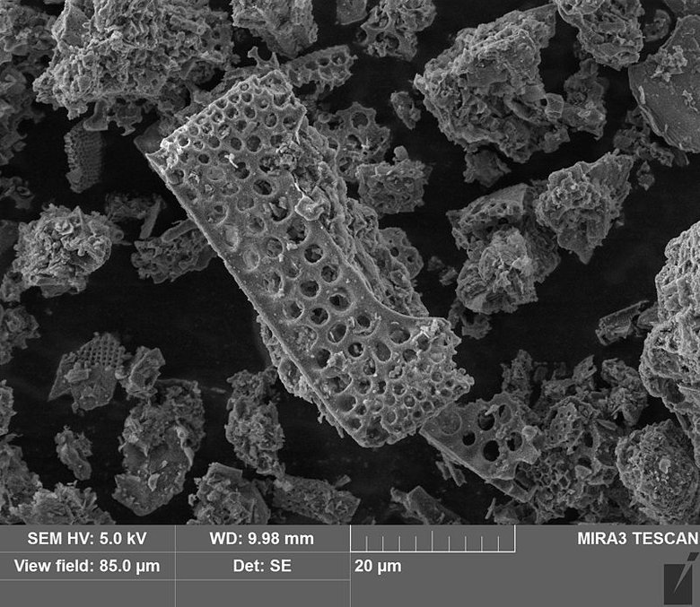 Кизельгур под микроскопом (увеличение 5000). Фото: Wikimedia / Kozhev / CC BY-SA 4.0