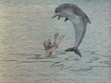 Кадр из Девочка и дельфин
