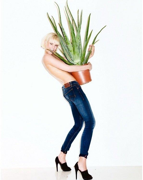 рекламный плакат Los jeans con aloe vera