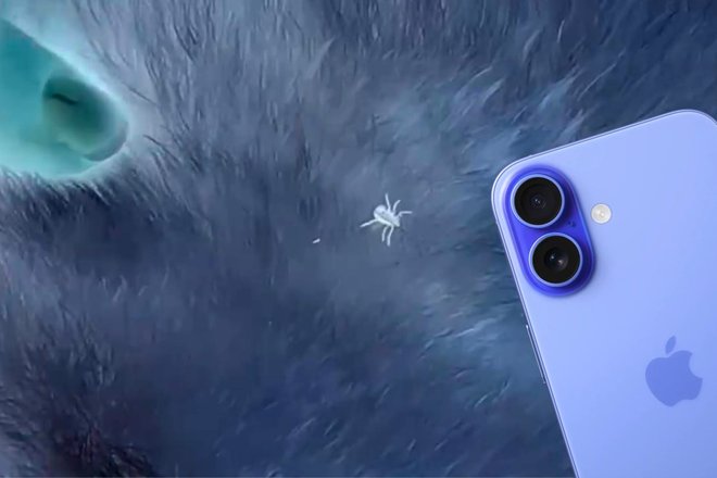 В соцсетях рассказали, как найти клеща на собаке с помощью iPhone