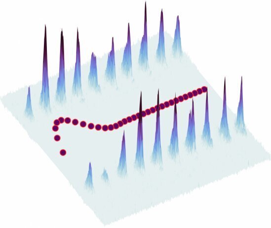 Квантовый бумеранг Weld Lab показал первоначальный уход атома лития и возвращение к среднему нулевому импульсу, несмотря на периодические энергетические «удары» квантового ротора. Источник: Roshan Sajjad