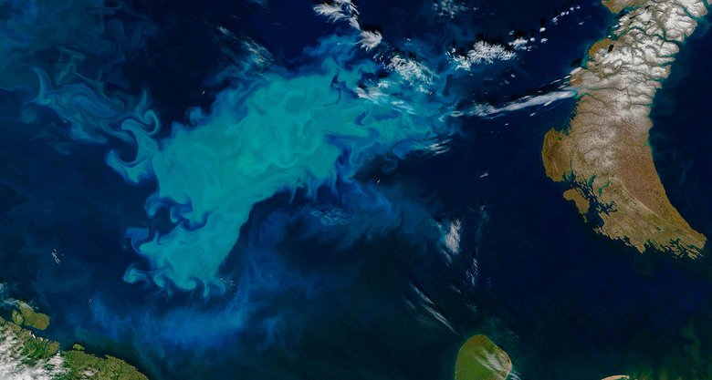 Цветение фитопланктона в Баренцевом море. Фото: NASA