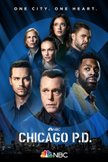 Постер Полиция Чикаго: 9 сезон