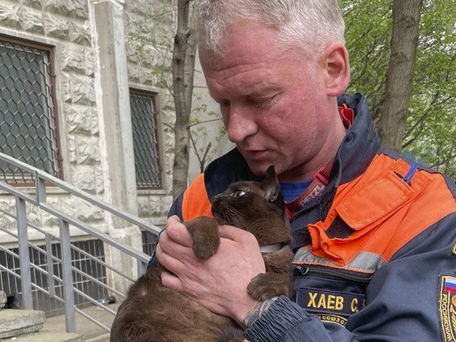 В Москве спасли кошку, сбежавшую во время выгула на шлейке