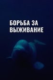 Постер шоу «Борьба за выживание»