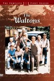 Постер Уолтоны: 1 сезон