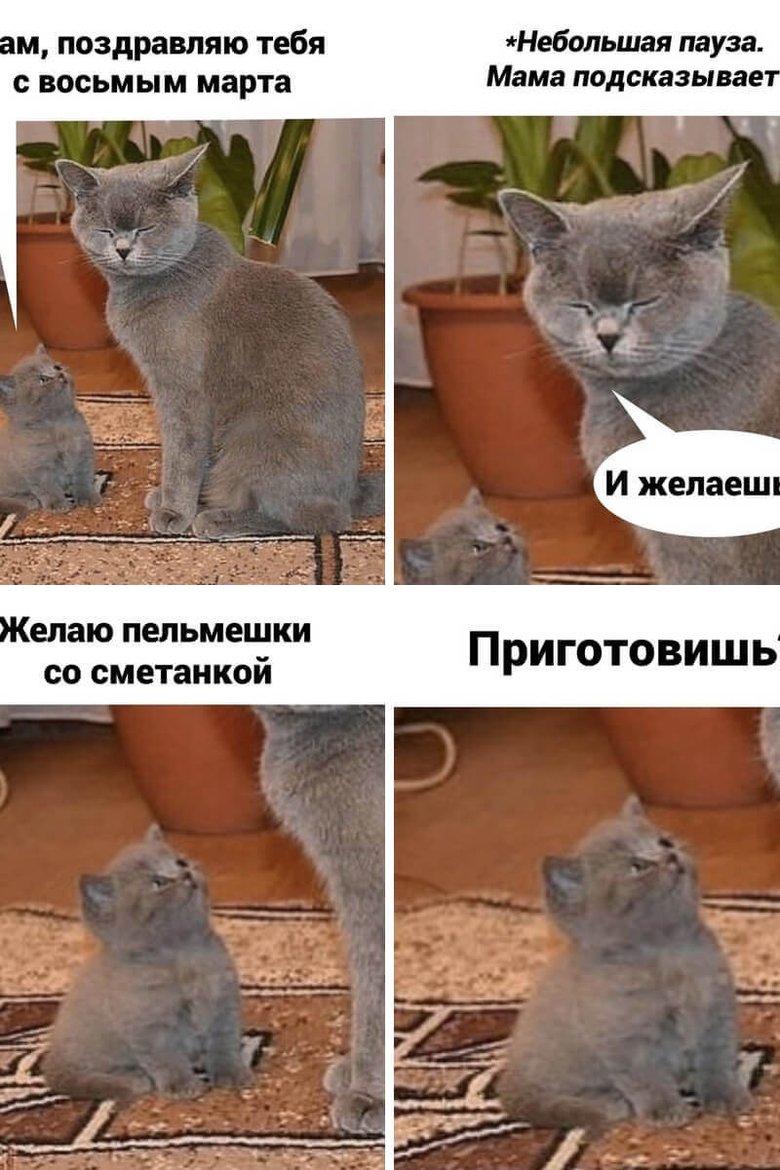 Когда что-то пошло не так. Но что? Когда что-то пошло не так. Но что?