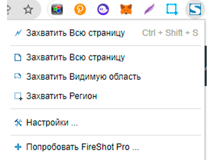 Настройки FireShot для создания скриншотов
