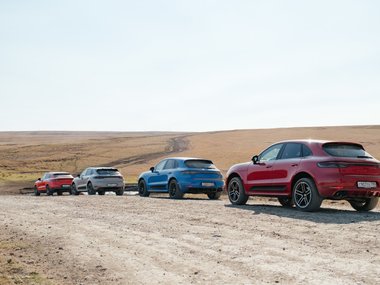 slide image for gallery: 26897 | Macan