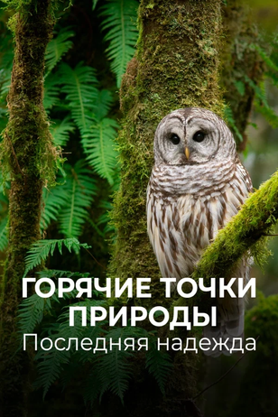 Постер сериала «Горячие точки природы. Последняя надежда»