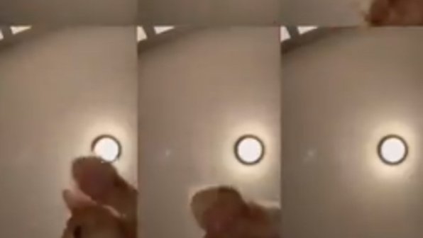 Девушка сняла ролик со своим котом и запустила новый флешмоб