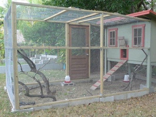 Курятник с большой прогулочной зоной Курятник с большой прогулочной зоной
