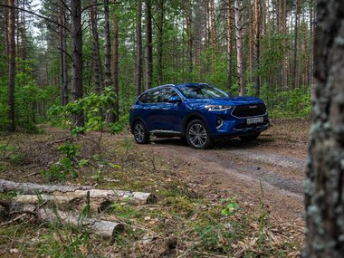 slide image for gallery: 24575 | Haval F7