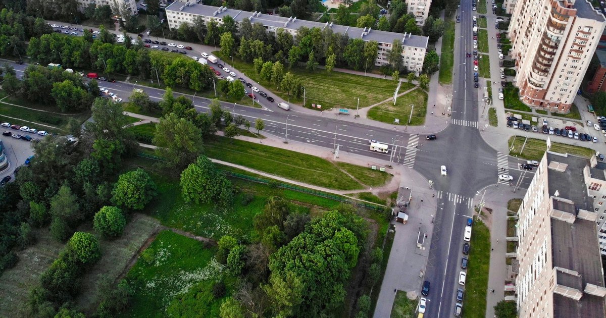 Деревья не спасут города от аномальной жары