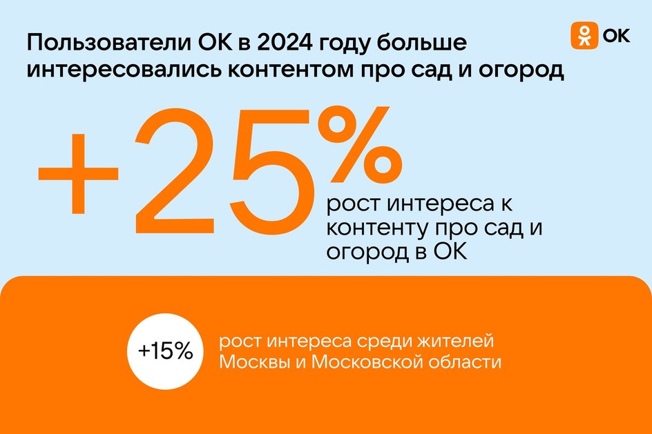 Инфографика