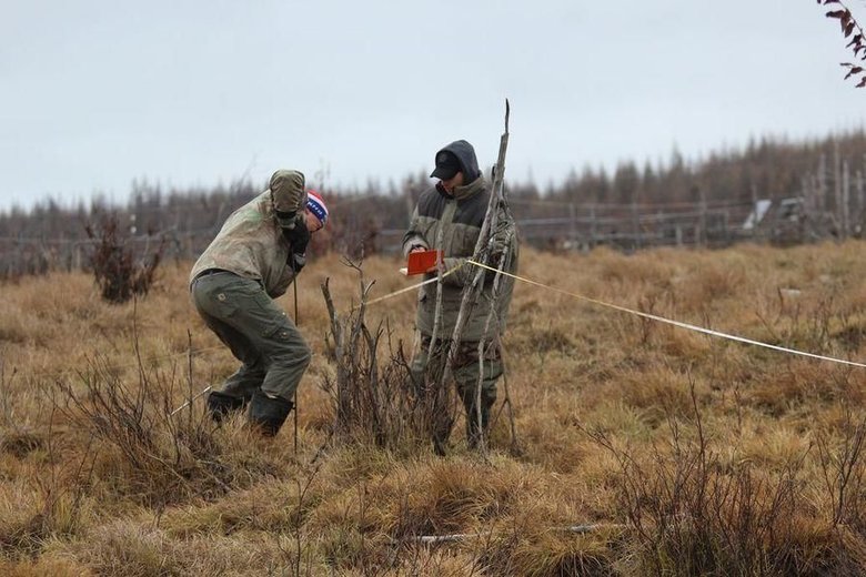 © Фото : Алексей Курило / Информационное агентство SakhaNews. Ученые в Плейстоценовом парке измеряют мощность оттаявшего слоя
