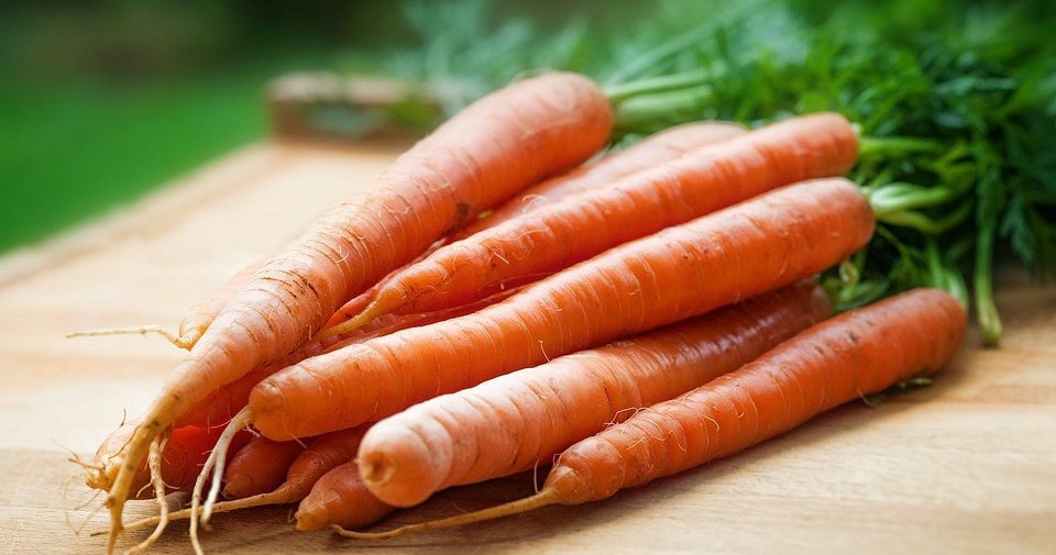 Как хранить морковку в домашних условиях, чтобы она долго не портилась: 4способа - Дом Mail.ru
