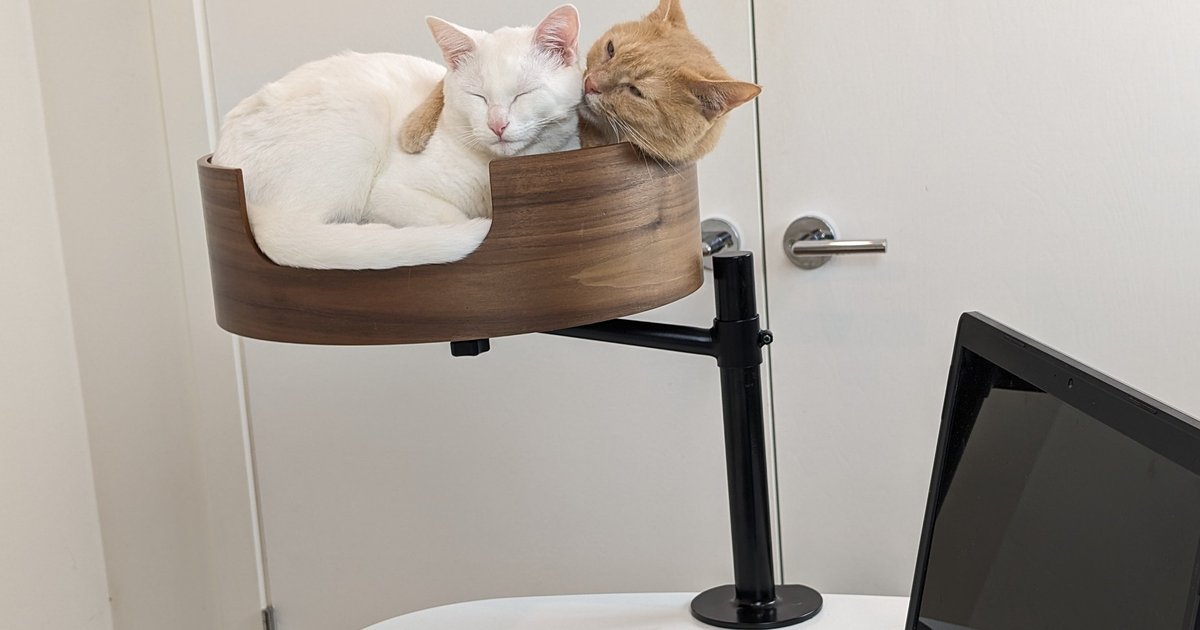 Настольная лежанка для кошек стала хитом Kickstarter