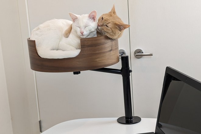 Desk Nest Cat Bed