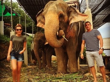 Slide image for gallery: 5109 | Пара полюбовалась на тайских слонов