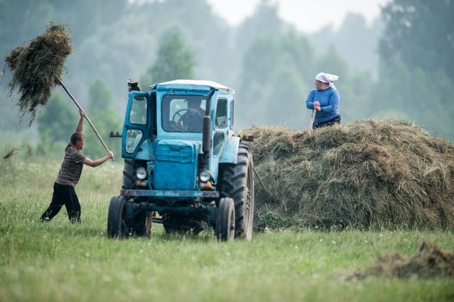 Жители деревни Баженово Омской области во время заготовки сена.