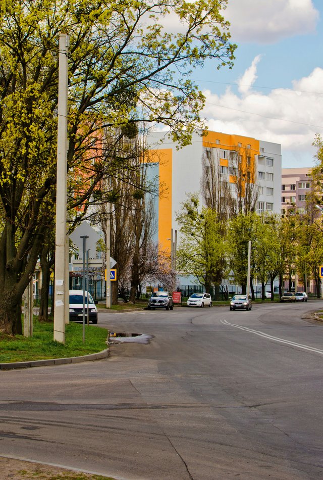 город зеленые насаждения