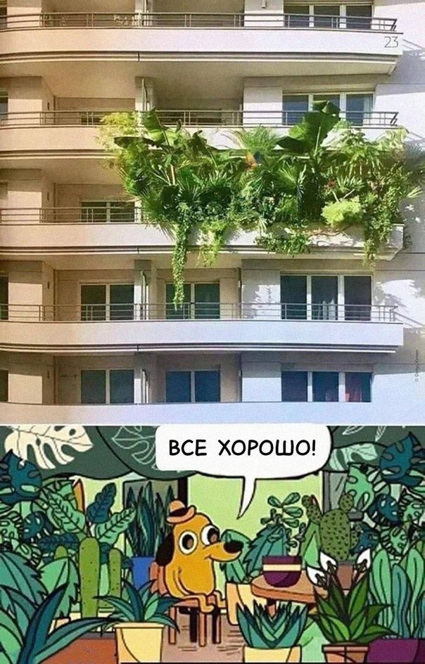 Кто понял жизнь — тот понял Кто понял жизнь — тот понял