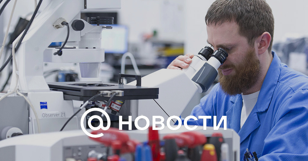 В России у летучих мышей обнаружили коронавирусы
