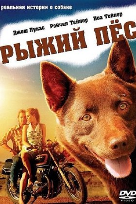 Рыжий пес: постер