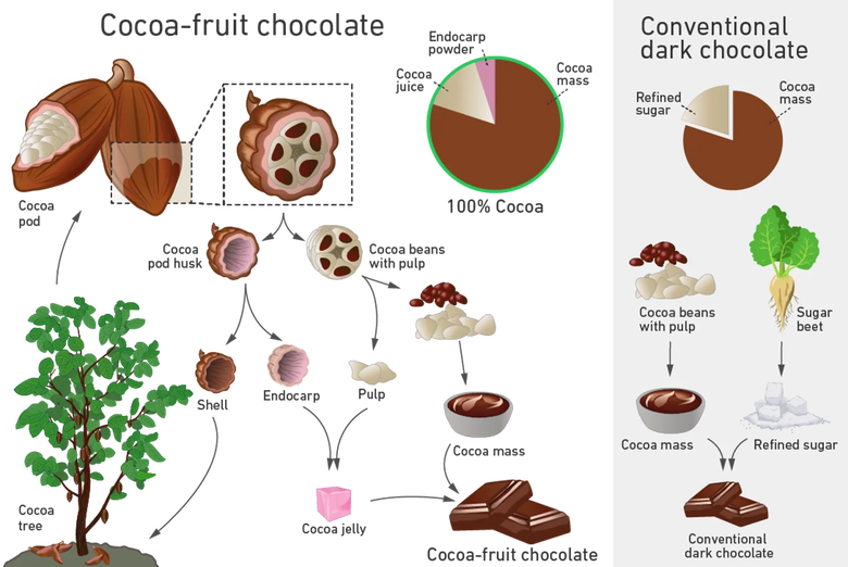 Схема изготовления нового шоколада с плодами какао (слева) по сравнению с обычным темным шоколадом (справа).