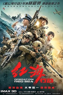 Операция в Красном море: постер