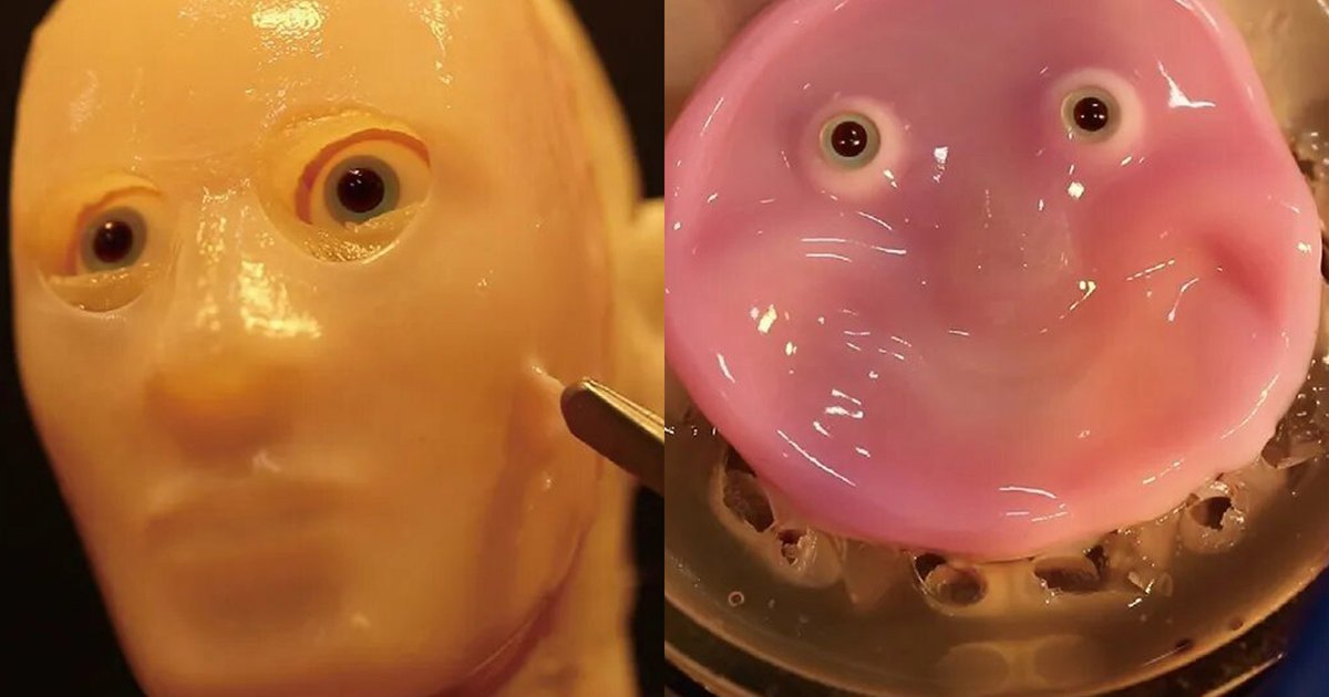 Жуть дня: исследователи сделали лицо робота из кожи