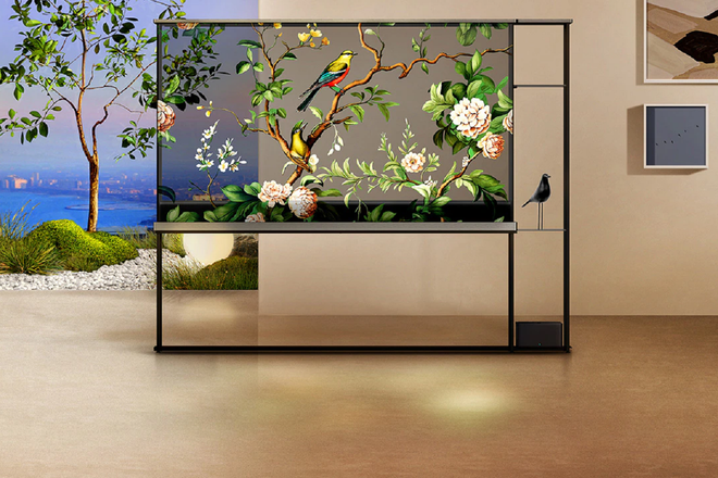 LG OLED T