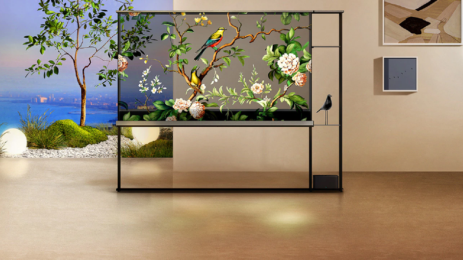 LG OLED T