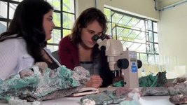 Фернанда Авелар Сантос и ее коллеги изучают состав зеленых камней. Фото: YouTube