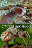 Постер undefined: 1 сезон